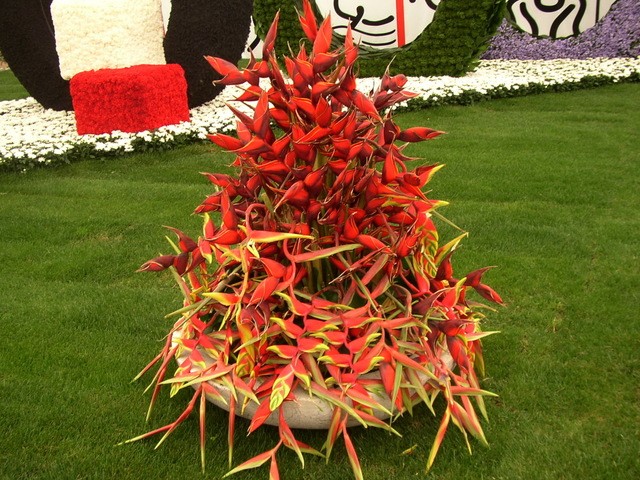 vrt-cvijece-floraart